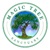 Magic Tree Sanctuary Magic Tree Sanctuary