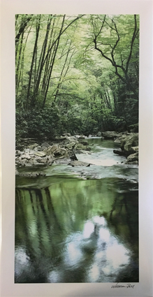 William Bell Photography