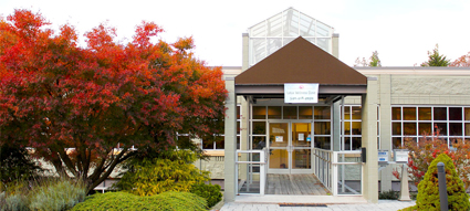 Lotus Wellness Clinic