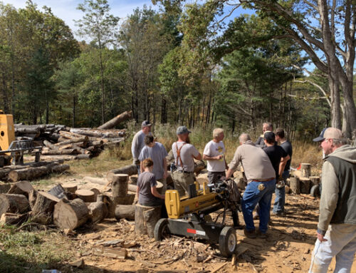 Firewood for Our Friends